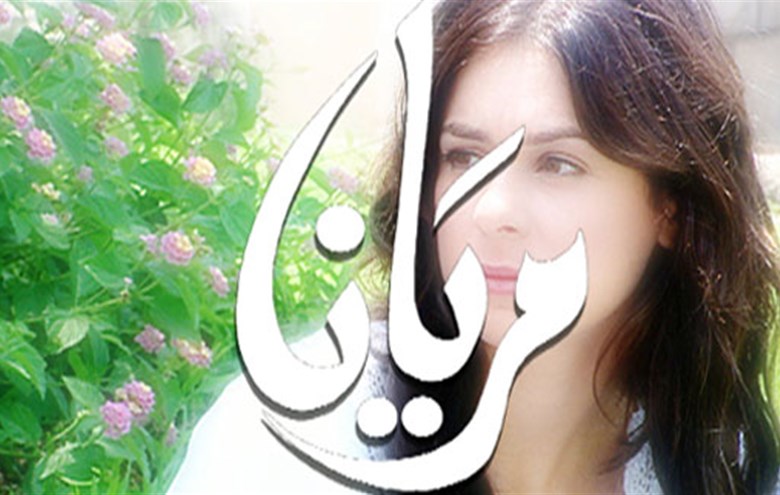 يعرض الان: