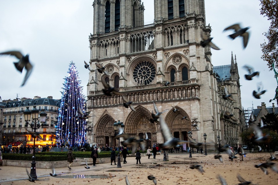 [PHOTOS] Jbeils Christmas Tree Among The World’s Most Beautiful