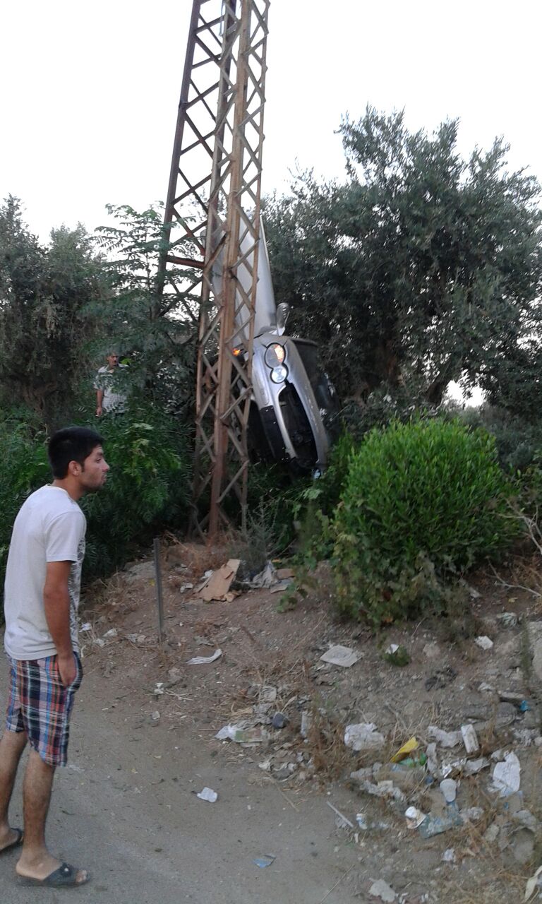 [PHOTOS] Car mounts olive tree in bizarre accident, driver miraculously