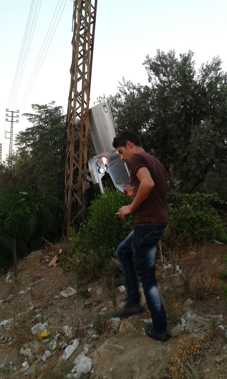 [PHOTOS] Car mounts olive tree in bizarre accident, driver miraculously