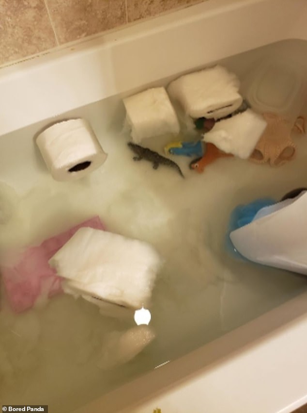 صور مضحكة توثّق الخراب الذي يحدثه الأطفال في المنازل خلال الحجر