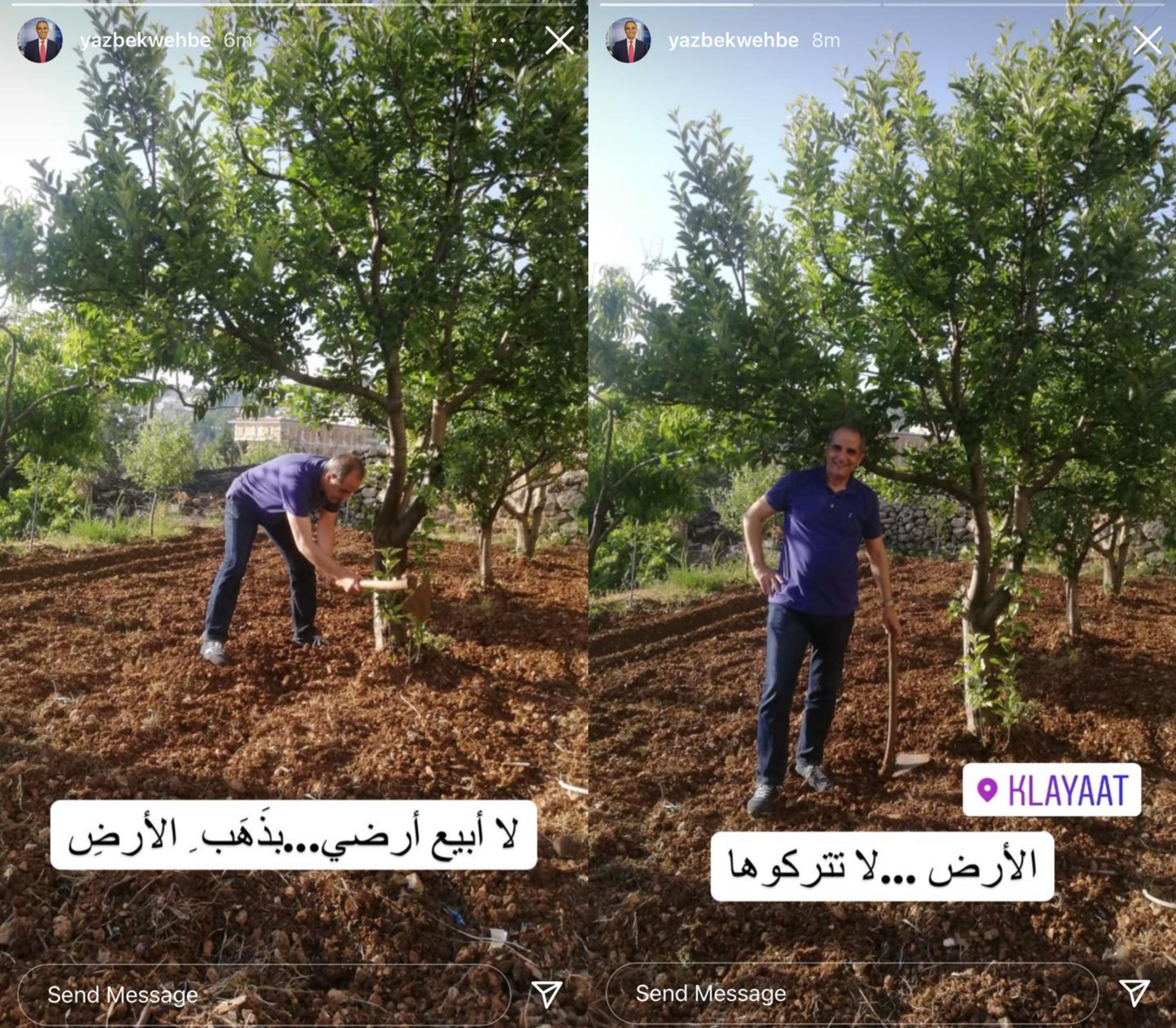 يزبك وهبة ينكش الأرض