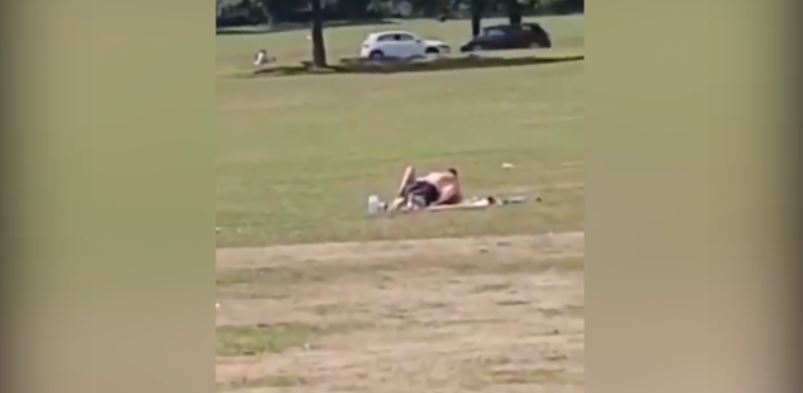 ثنائي يمارس الجنس في حديقة عامة 