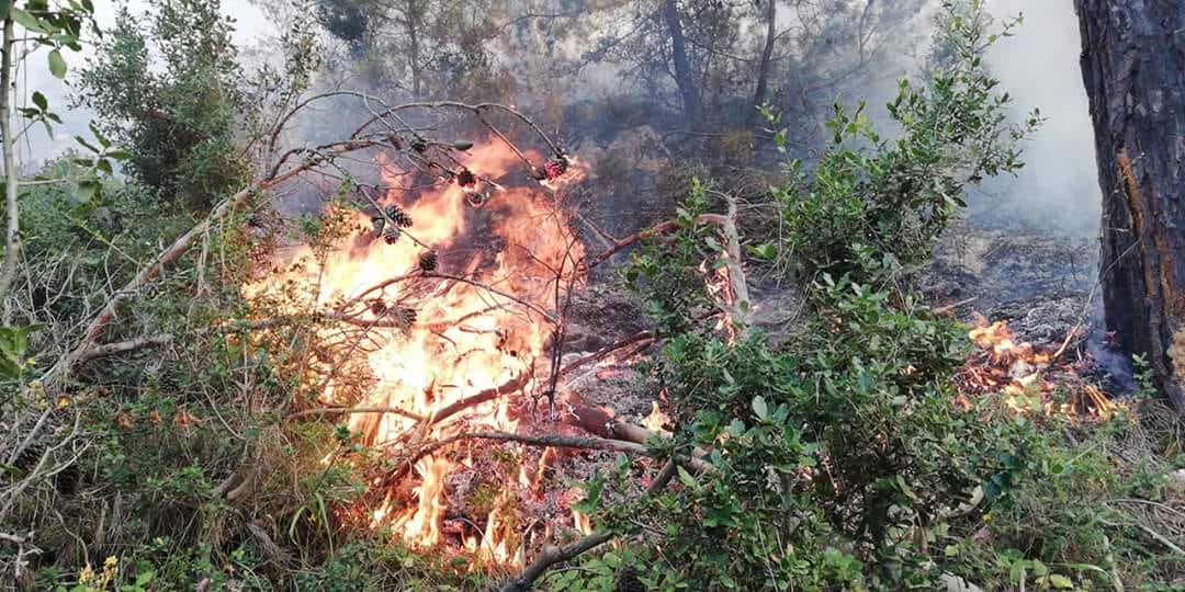 Huge fire erupts in Akkar, residents call for help through church bells