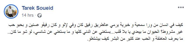 رسالة إليسا وطارق سويد إلى مّن يتخلّون عن حيواناتهم بسبب كورونا: "يا بلا قلب"