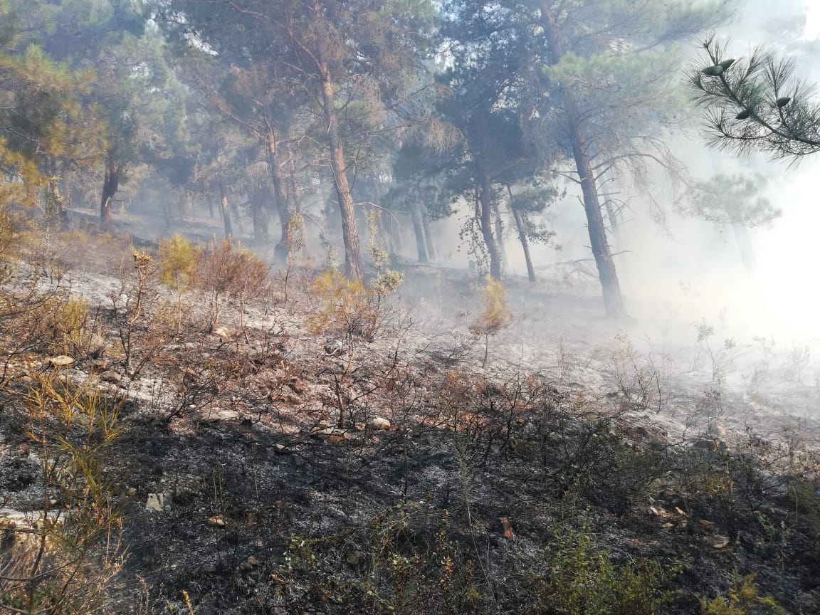 Huge fire erupts in Akkar, residents call for help through church bells