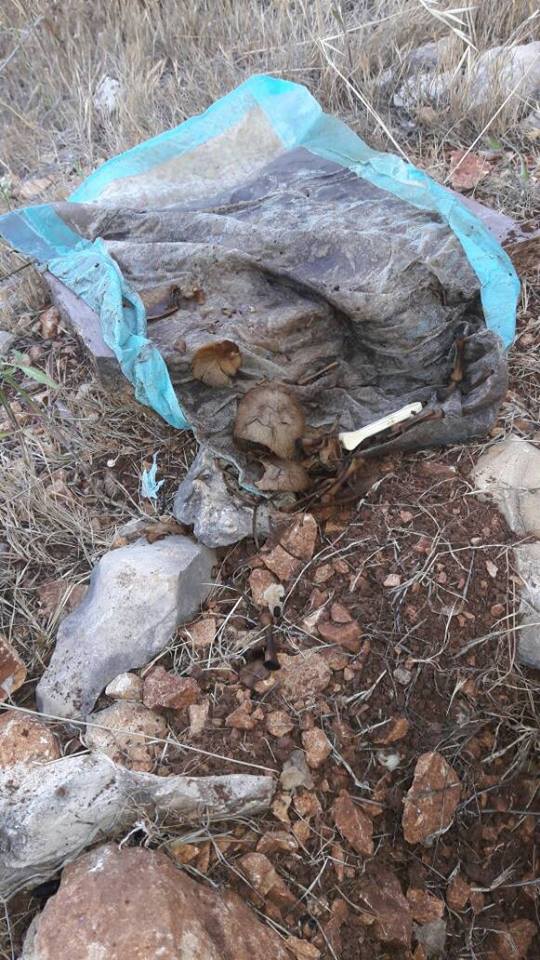 [PHOTOS] Body of a newborn baby found in Khaldeh - Lebanon - Lebanon