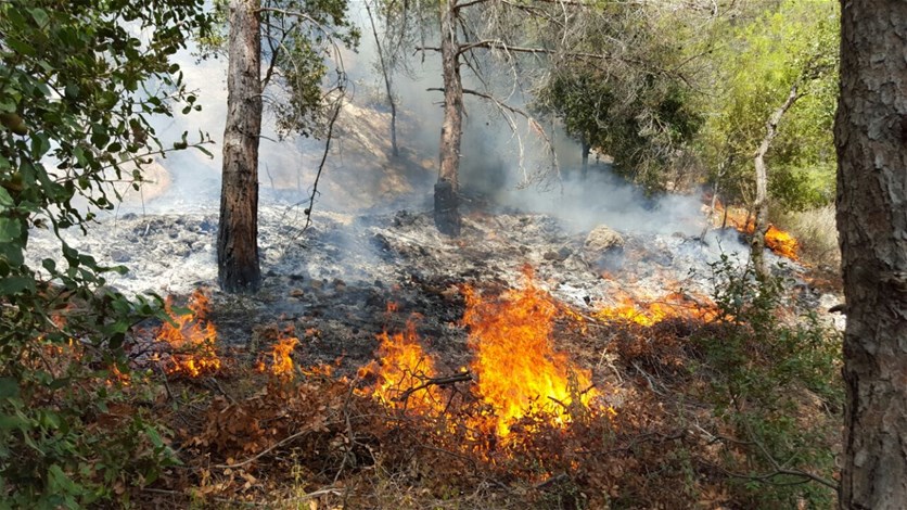 تجنبوا الحرائق في الغابات والأحراج بحسب القانون Lebanon News