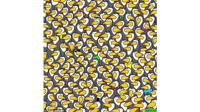 найди лишнее 80+ головоломок. найди пингвина ответы. невозможное возможно. найдите пингвина. найди пингвина ответы.