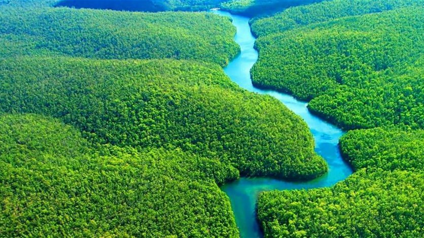 ما هو مصير كوكب الأرض في حال إختفاء غابات الأمازون Lebanon News