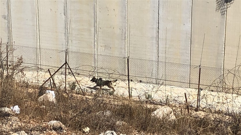 Ø§Ø³Ø±Ø§Ø¦ÙÙ ØªØ·ÙÙ ÙÙØ¨Ø§ ÙØ¬ÙØ²Ø§ Ø¨ÙØ§ÙÙØ±Ø§Øª ÙØ±Ø§ÙØ¨Ø© Ø¨ÙÙ Ø§ÙØ¬Ø¯Ø§Ø± Ø§ÙØ§Ø³ÙÙØªÙ ÙØ§ÙØ³ÙØ§Ø¬ Ø§ÙØªÙÙÙ... (ØµÙØ±Ø©)