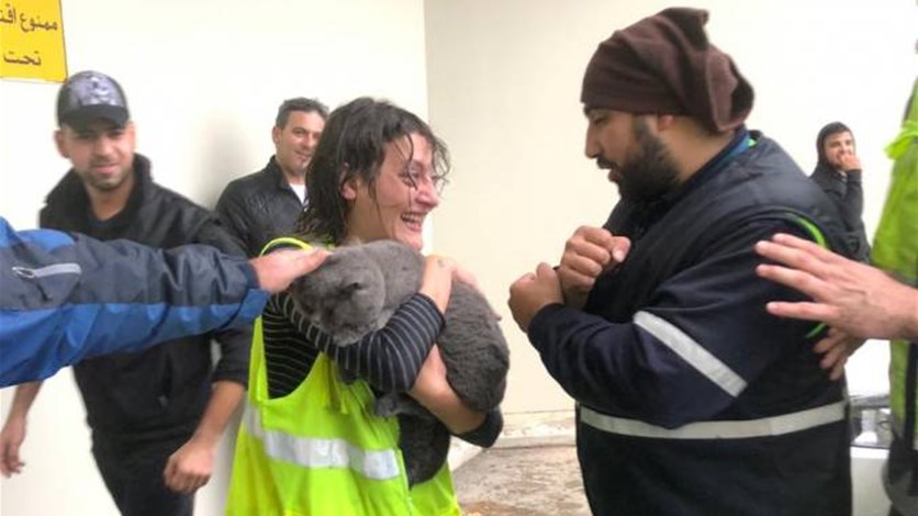 نتيجة بحث الصور عن بيروت : قطة تُؤخر اقلاع طائرة