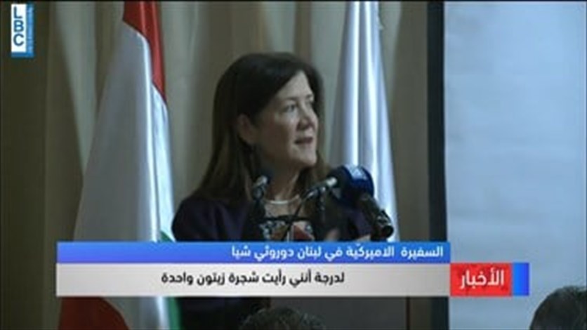 Culture Minister celebrates the World Olive Tree Day with US ambassador-[VIDEO] - Lebanon - Vimarsana News