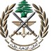 الجيش: توقيف مطلوبين في منطقة حي السلم (صورة)