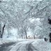 Popular News - Accumulation of snow blocks several roads across Lebanon