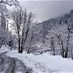 Popular News - Snow blocks several mountainous roads across Lebanon – TMC