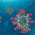 Health Ministry confirms 6381 new Coronavirus infections, 13...