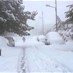 Lastest News - Snow accumulation blocks mountainous roads in Lebanon