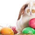 من البيضة والحيوانات الى كلمة فصح... ماذا تعني رموز هذا العيد؟