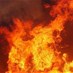 Lastest News - ‏السيطرة على حريق في غابة الصنوبر في عين زحلتا - الصفاء