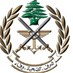 Lebanon News - الجيش: انتشال جثة مواطن من البحر في جبيل
