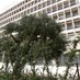 الثلثاء إضراب في مصرف لبنان يشمل صيرفة