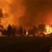 اليونان تكافح حرائق الغابات وسط موجة الحر
