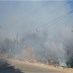 حريق كبير في الأحراج على الطريق الممتد من دوار الملعب البلدي حتى...