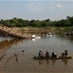 Popular News - Bridge collapses in Brazilian Amazon, 3 killed and up to 15 missing