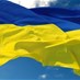 أوكرانيا تطلب إعطاءها حق "الوصول الفوري" إلى موقع سقوط...
