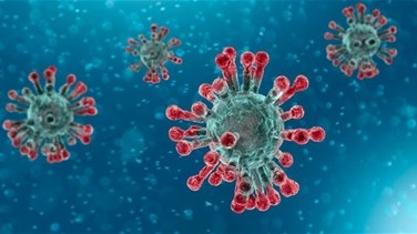 Health Ministry confirms 6653 new coronavirus cases, 15 more...