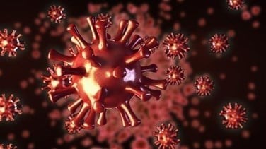 Ministry of Health announces 70 new Coronavirus cases, 2 new...