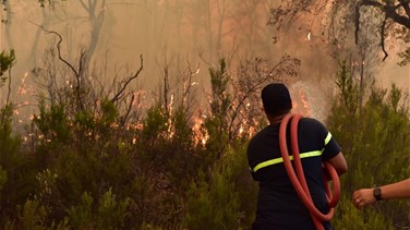 أجهزة الإطفاء المغربية تحرز تقدما على طريق احتواء حرائق الغابات