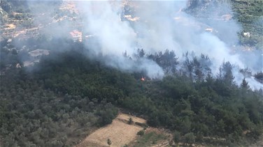 نشرة للدفاع المدني تظهر احتمال اندلاع حرائق الغابات