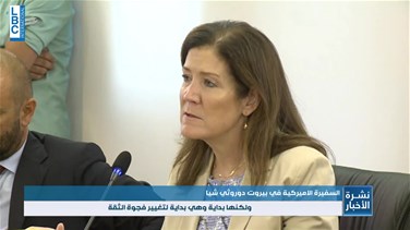 US ambassador Shea urges Lebanon to carry out reforms-[VIDEO]