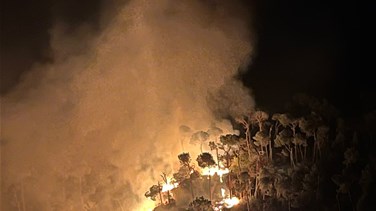 حريق يلتهم احراج النهر في بسكنتا (فيديو وصور)