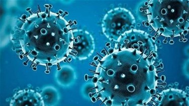 Health Ministry: 275 new Coronavirus cases, one new death