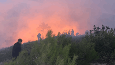 حريق في وادي حلسبان في عكار العتيقة