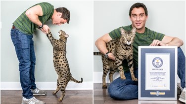 Michigan man's cat officially named tallest in the world