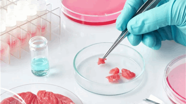 إدارة الغذاء الأميركية توافق على إنتاج اللحوم المُصنعة في المختبرات
