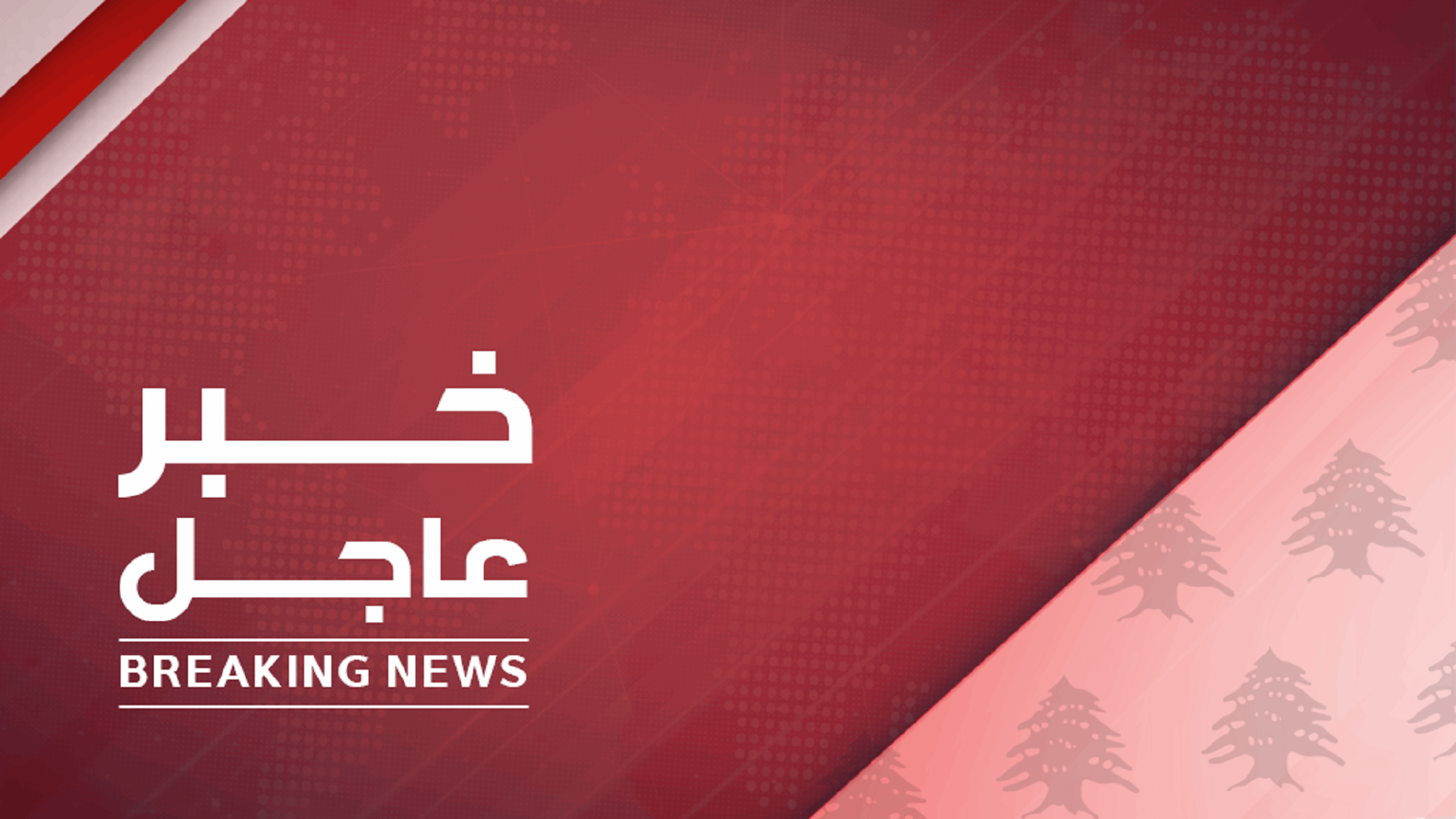 أ.ف.ب نقلا عن الشرطة: مقتل وزير الداخلية الأوكراني في تحطم مروحية قرب كييف