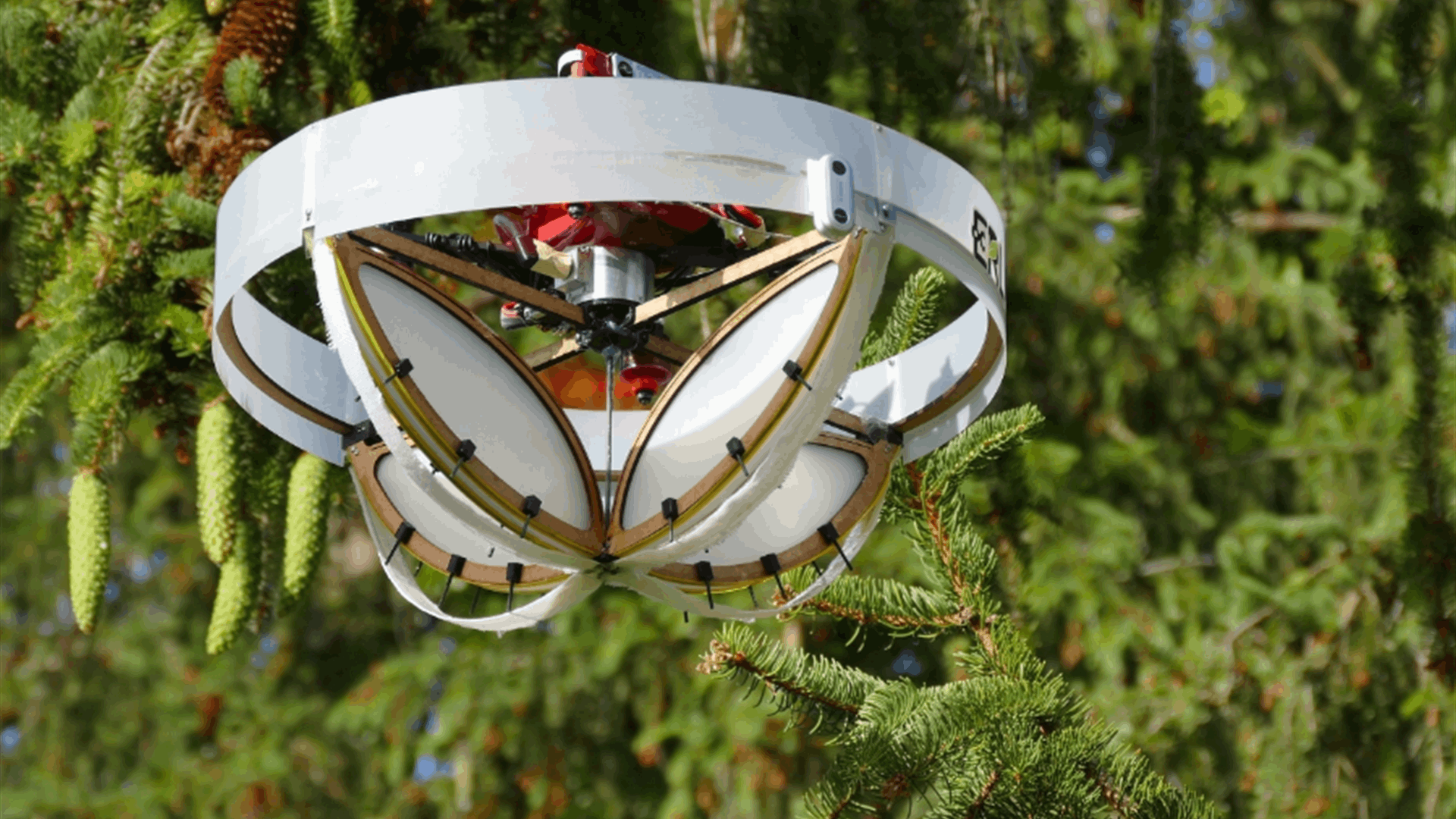 This gentle drone collects loose DNA from swaying tree branches
