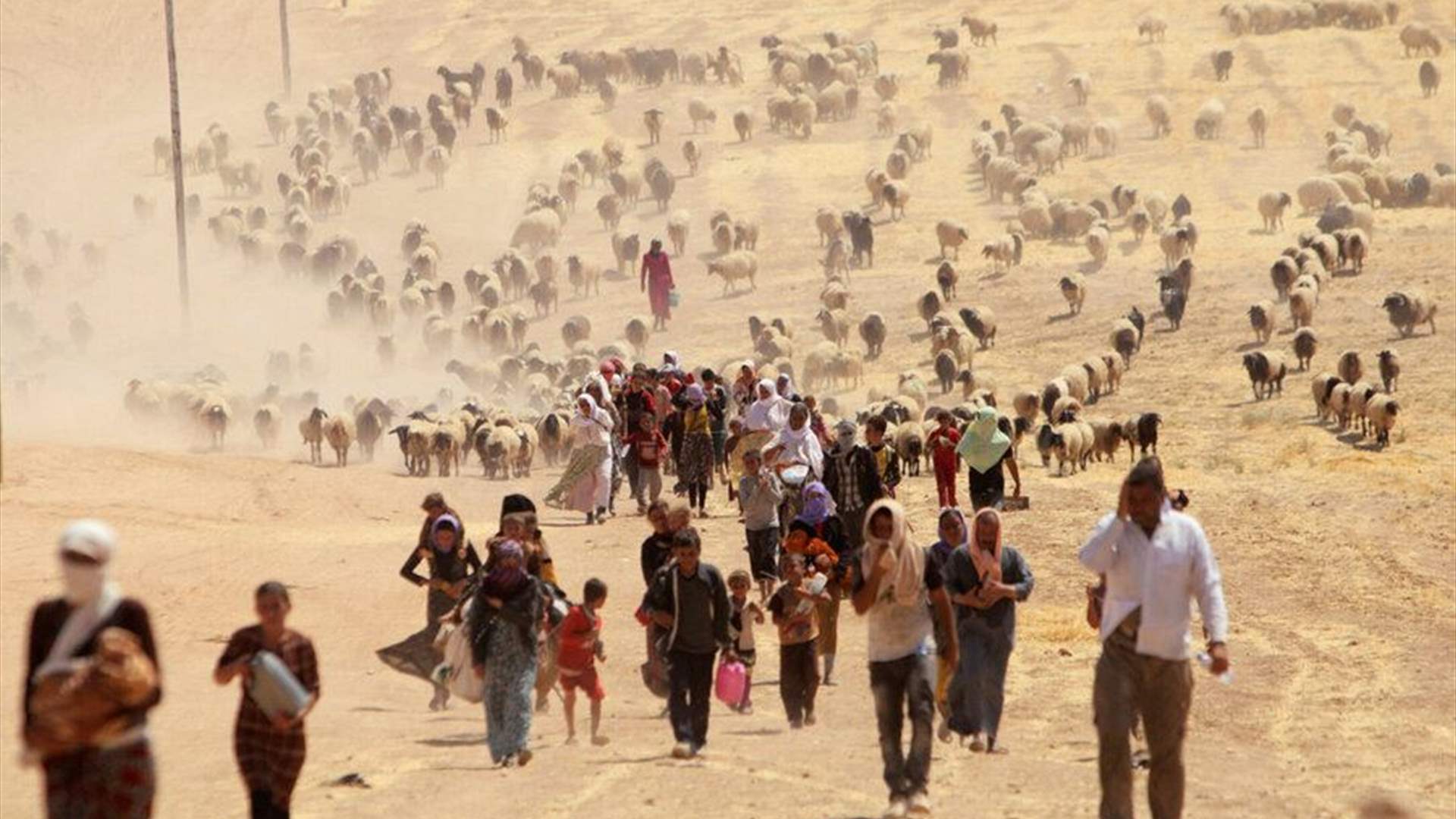 النواب الألمان يعترفون بارتكاب تنظيم الدولة الإسلامية "إبادة جماعية" في حق الأيزيديين
