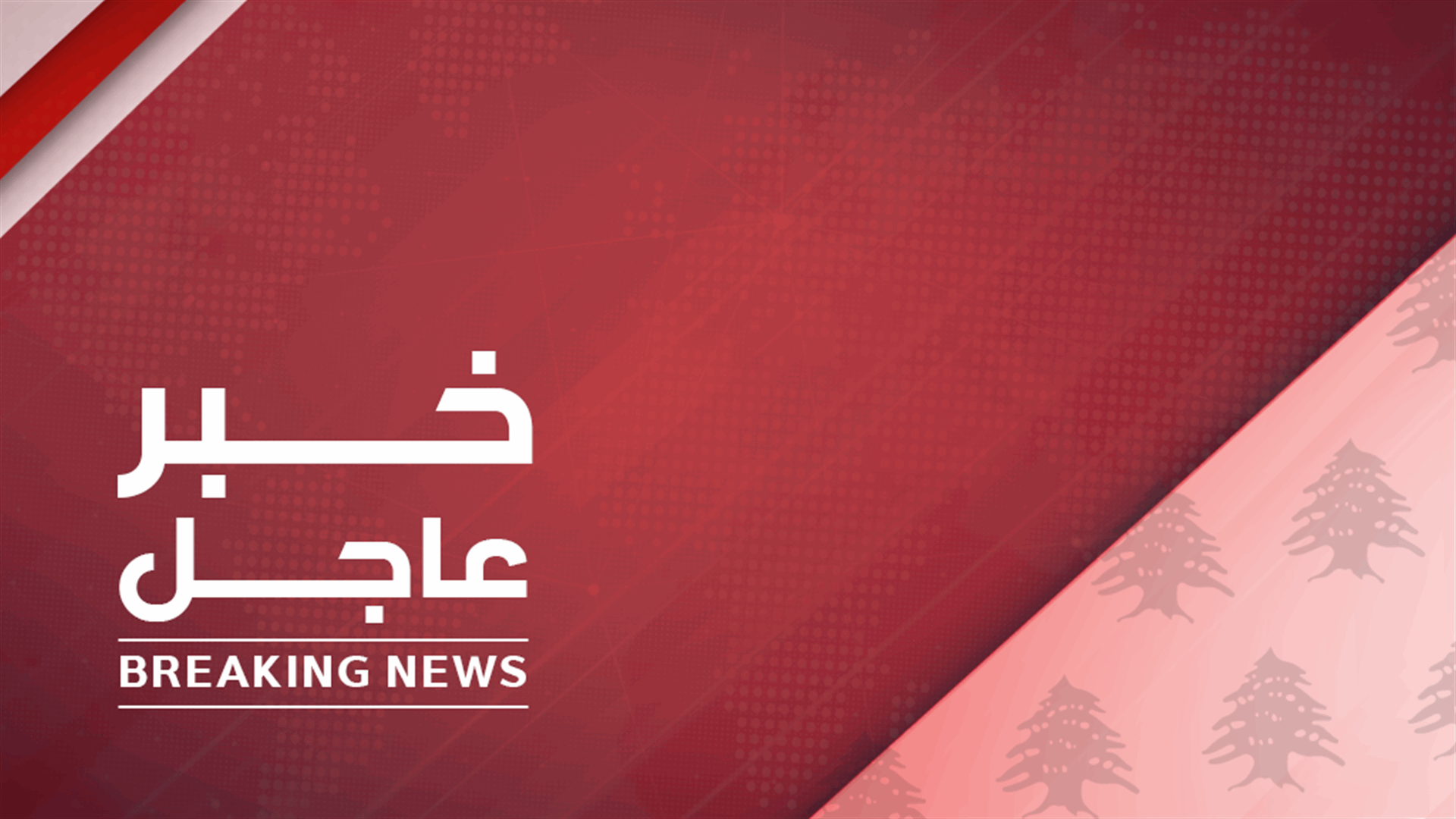 مدعي عام التمييز غسان عويدات قرر اطلاق سراح جميع الموقوفين دون استثناء ومنعهم من السفر في قضية انفجار المرفأ