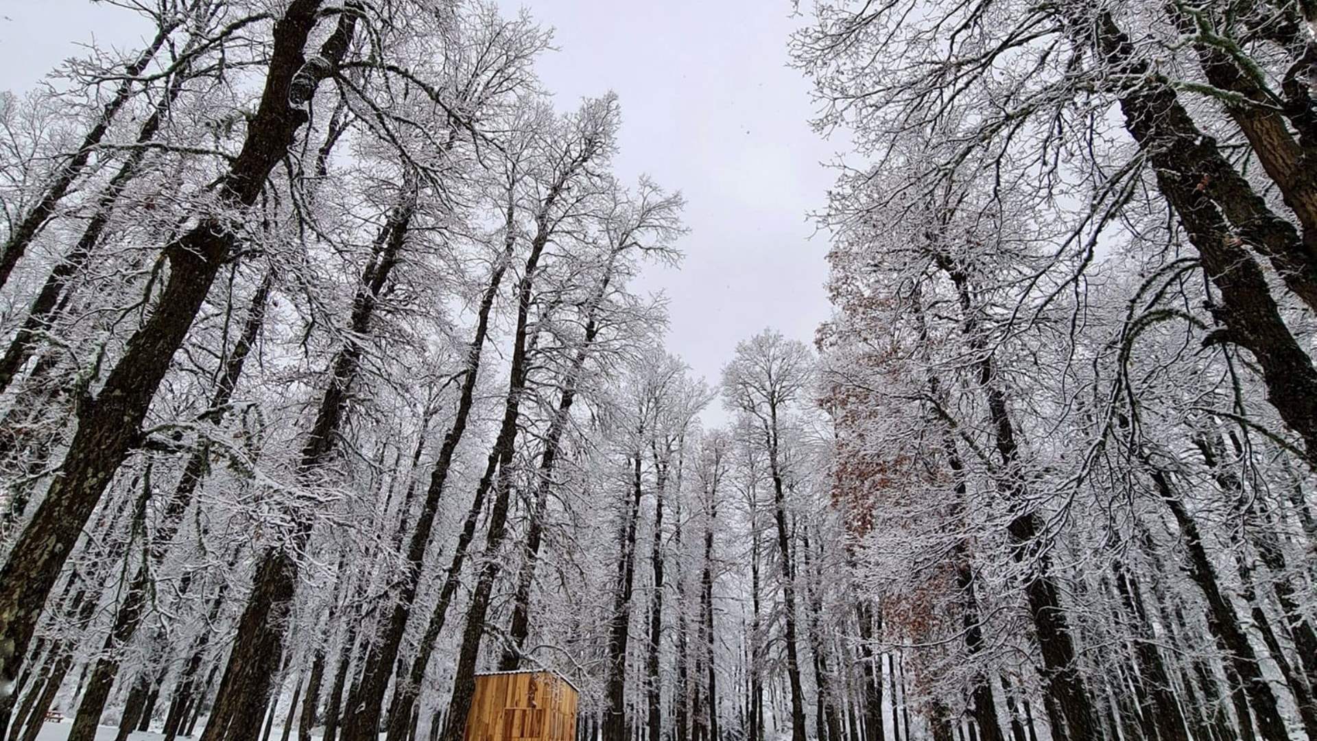 Lebanese mountains witness peaceful scenes after recent snowfall