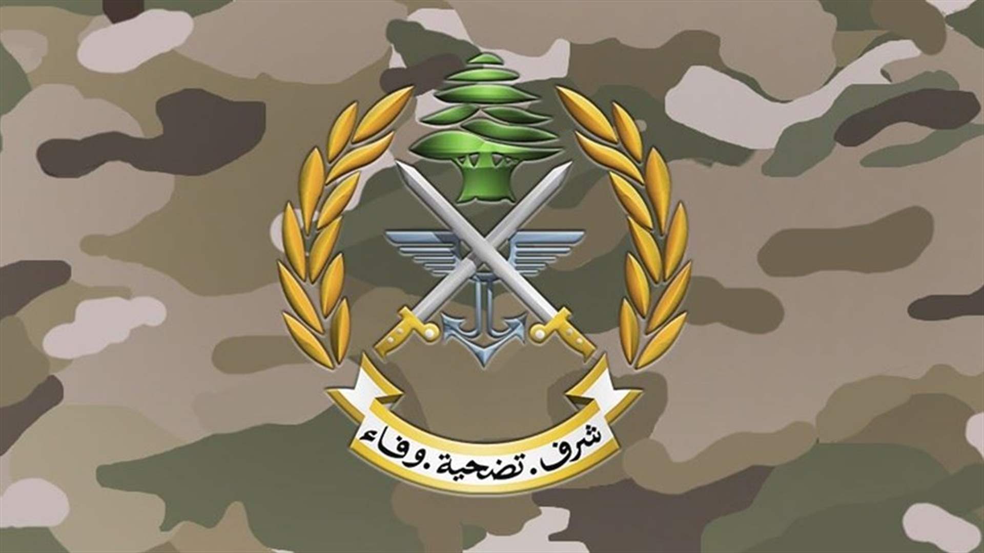 الجيش: هذه حصيلة التوقيفات خلال التدابير الأمنية في كانون الأول الماضي