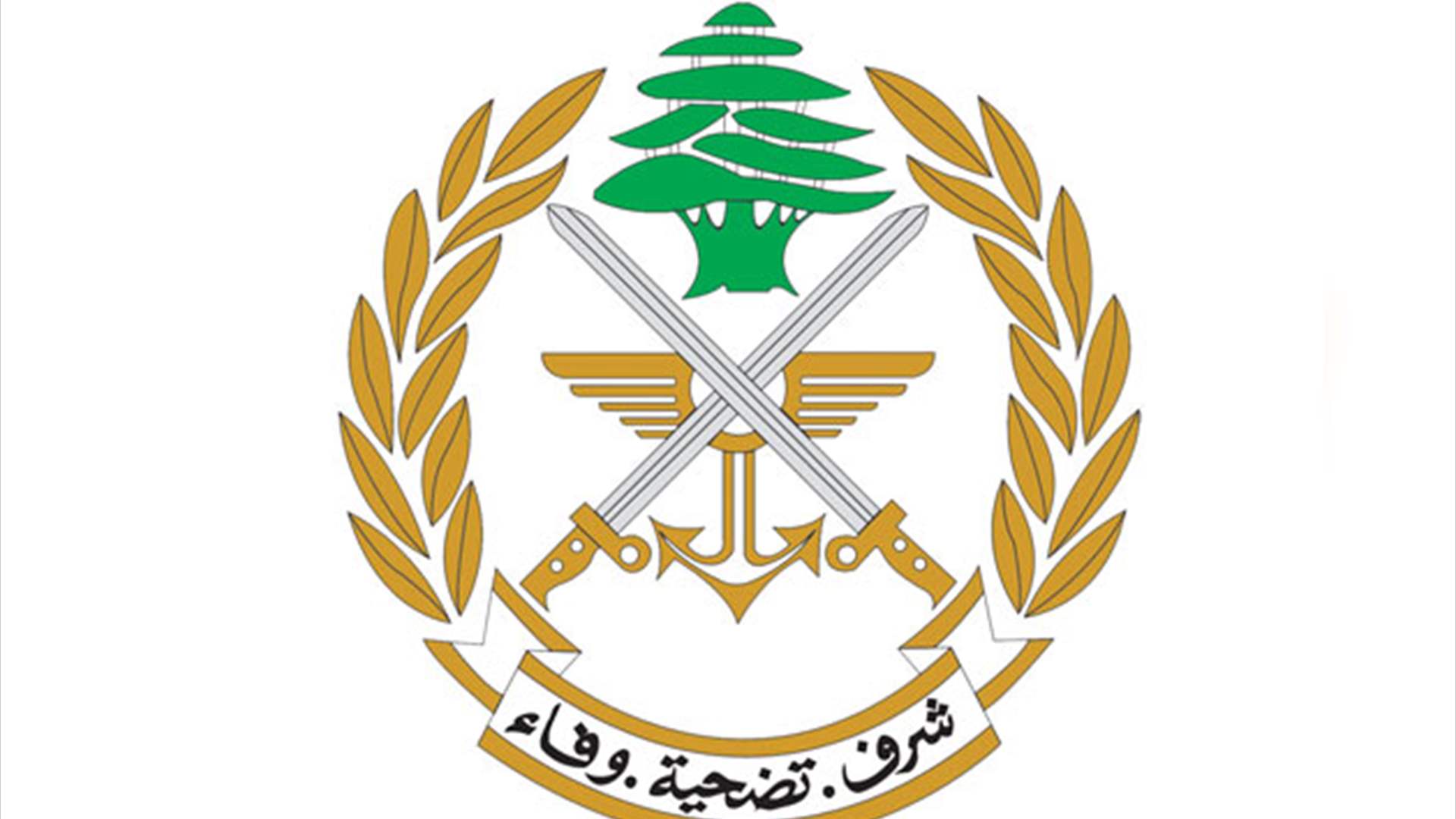 تحضيراً للقيام بأعمال تخريبية.. سوري عمد على تصوير عدة أماكن بتكليف من مشغّل خارج لبنان