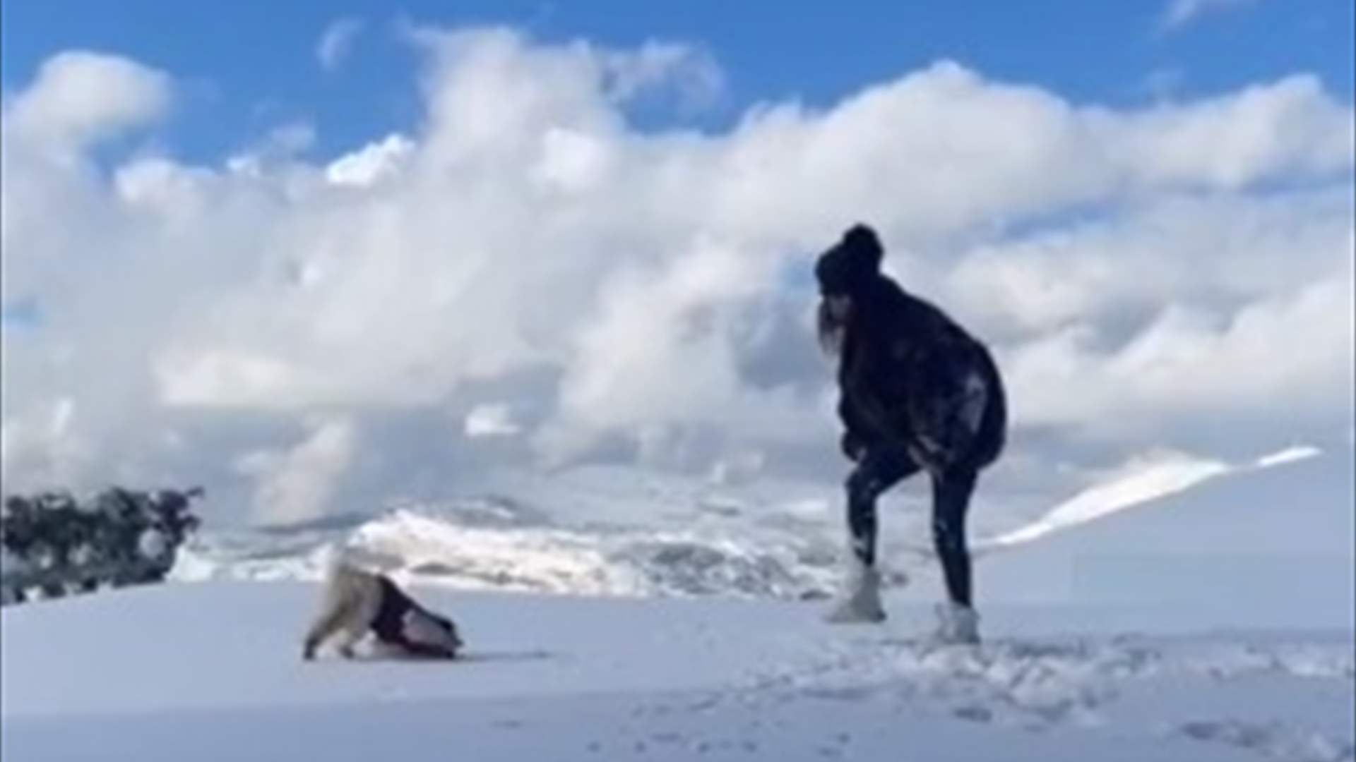اليسا تستمتع بثلوج لبنان في أوّل ظهور لها بعد العمليّة في يدها (فيديو)
