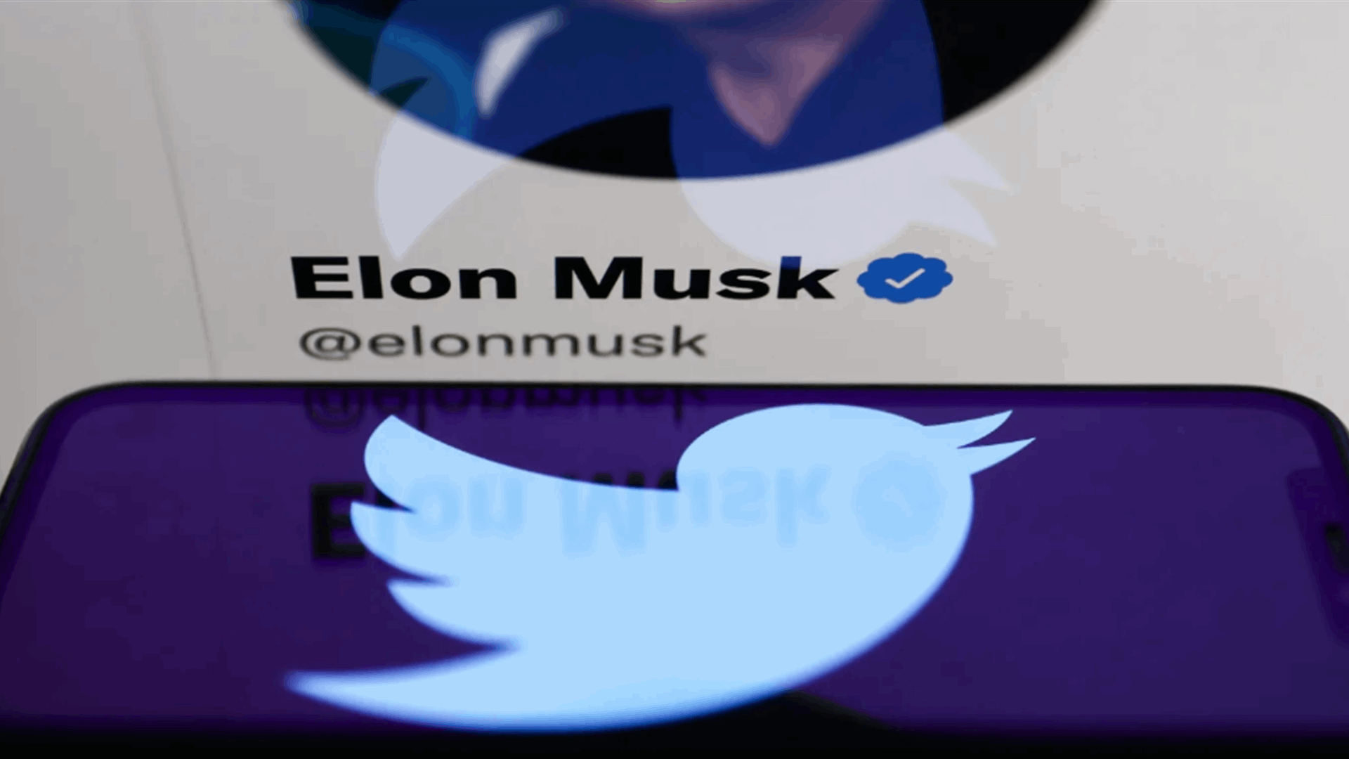 Musk’s Twitter gets ‘yellow card’ for missing data in EU disinformation report
