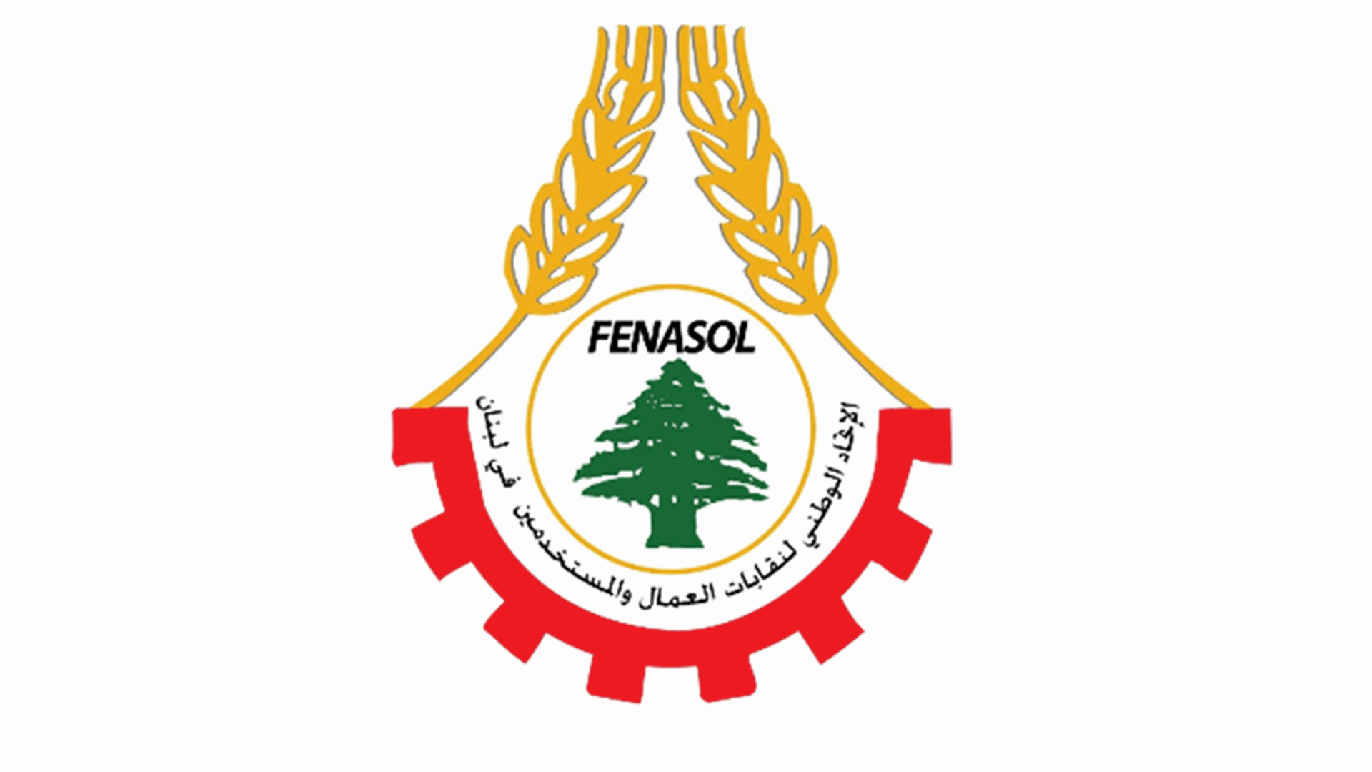 الإتحاد الوطني لنقابات العمال والمستخدمين جدد المطالبة بدولرة الرواتب